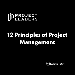 12 Principles of Project Management