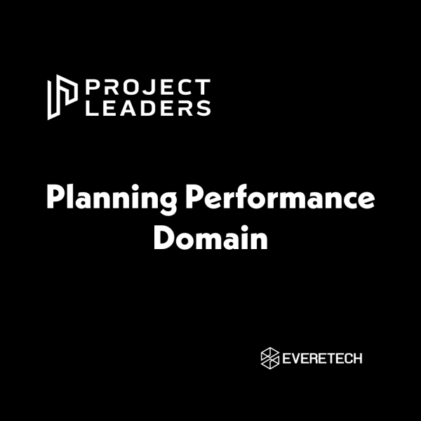 Planning Performance Domain