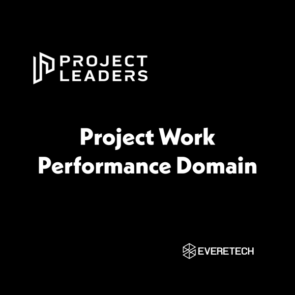 Project Work Performance Domain