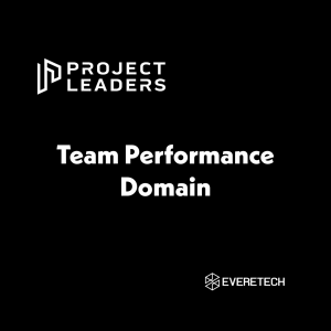 Team Performance Domain